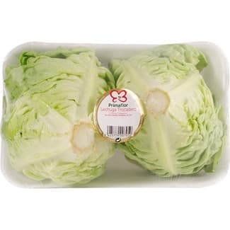 Lechuga trocadero bandeja 2 unidades - Primaflor