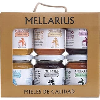 Mieles de eucalipto, azahar, mil flores, bosque, romero y brezo 6 tarros de 250 g - Mellarius