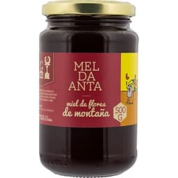 Miel flores de montaña tarro 500 g - Mel Da Anta