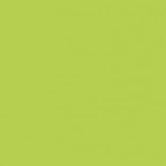 Servilletas de papel compostables 3 capas verdes 33x33 cm paquete 30 unidades - Gabbiano