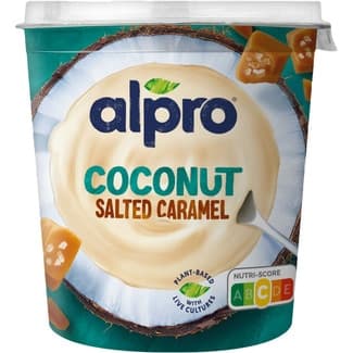 Big Pot especialidad vegetal de coco con caramelo salado sin gluten sin lactosa envase 340 g - Alpro