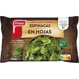 Espinacas en hojas bolsa 400 g - Findus