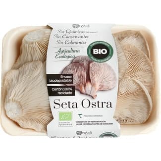 Seta ostra ecológica bandeja 200 g - Meli