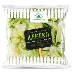 Lechuga iceberg lavada Dia Vegecampo bolsa 200 g
