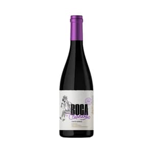 BOCACHANCLA Vino tinto roble con D.O. Ribera del Duero botella 75 cl.