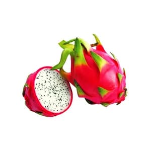 Piatahaya roja bandeja 350 g