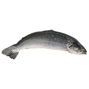 Salmón entero. - Entero limpio