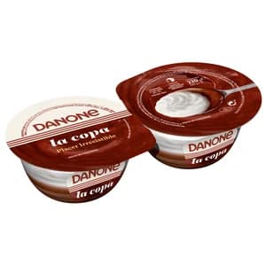DANONE Copa de chocolate y cremosa nata DANONE 2 x 110 g.