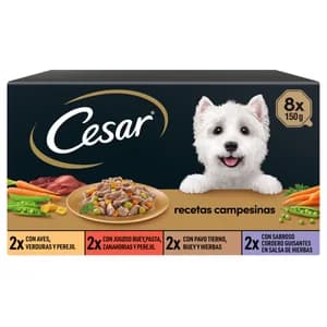 CESAR Comida para perro adulto, surtido 8 unidades de 150 gr.