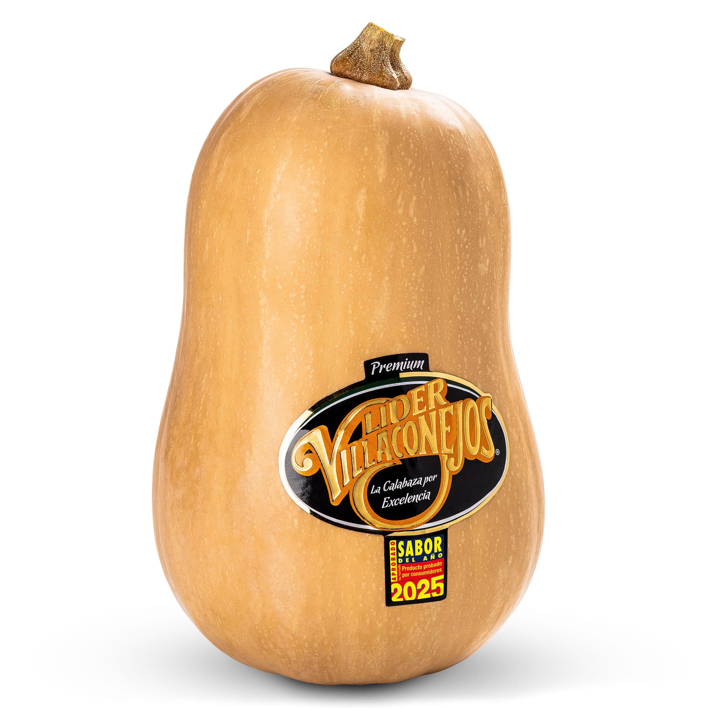 Calabaza 1.6 Kg aprox.